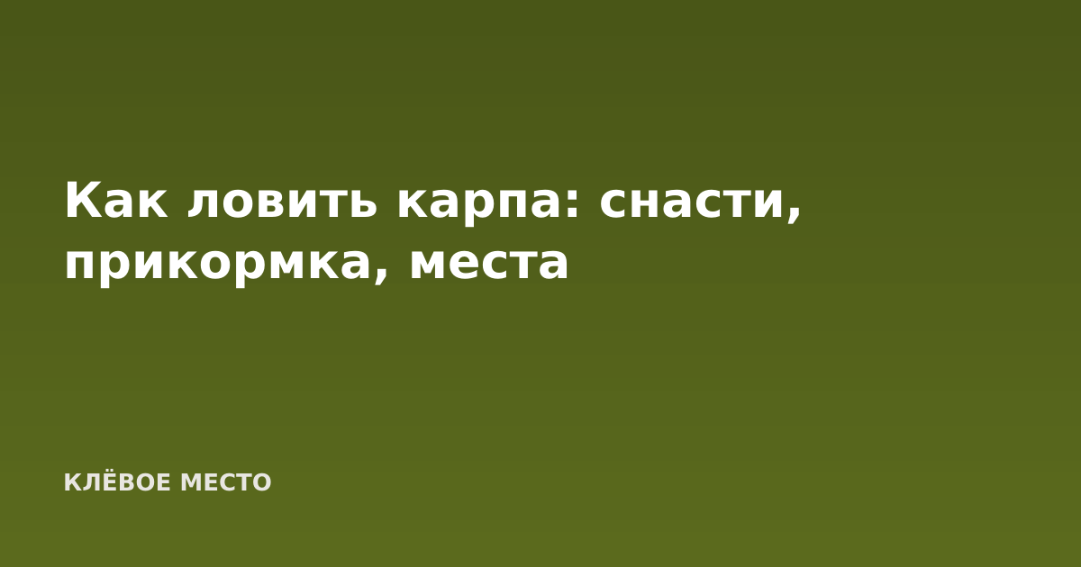 Как ловить карпа: снасти, прикормка, места