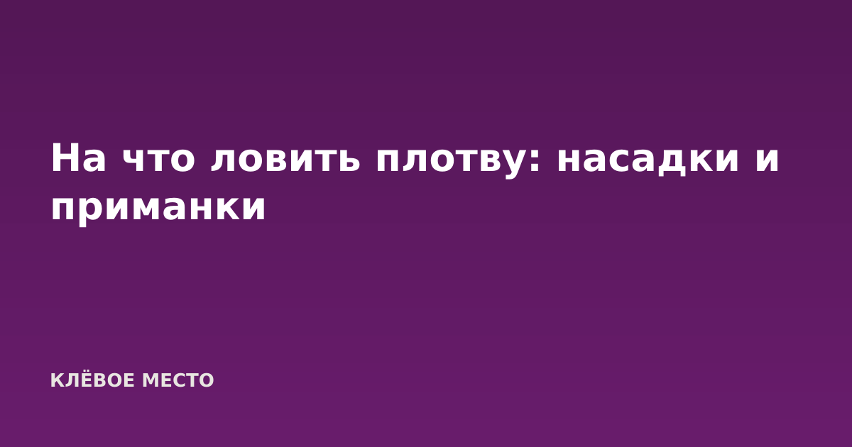 На что ловить плотву: насадки и приманки