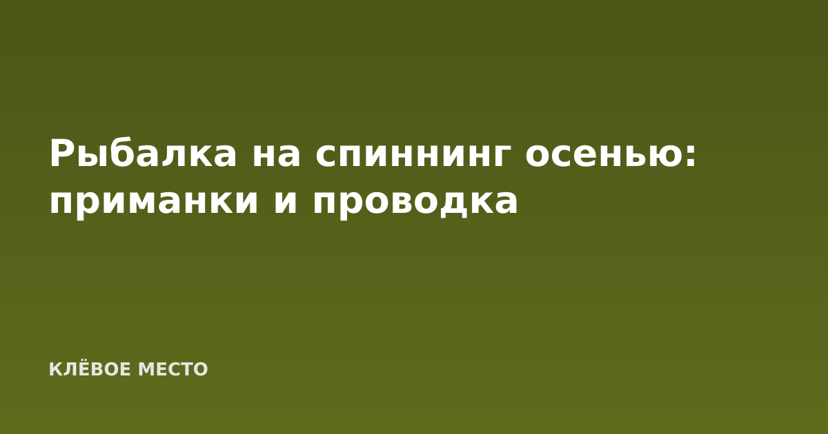 Рыбалка на спиннинг осенью: приманки и проводка