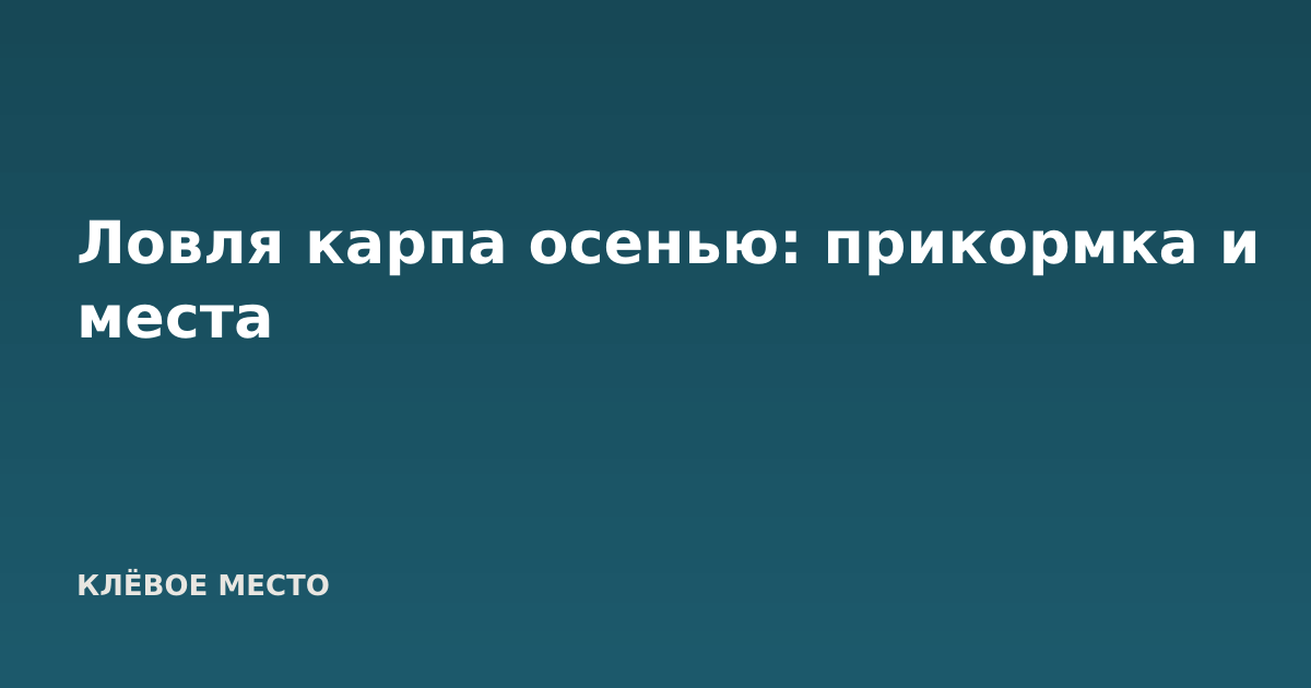 Ловля карпа осенью: прикормка и места
