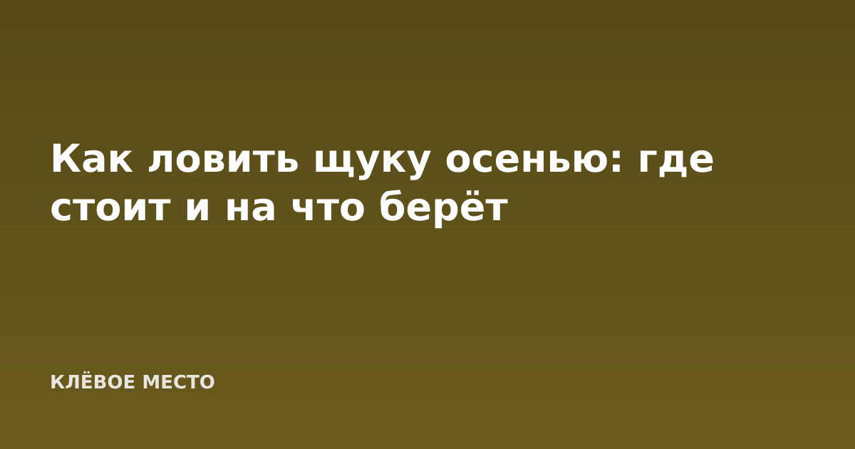 Как ловить щуку осенью: где стоит и на что берёт