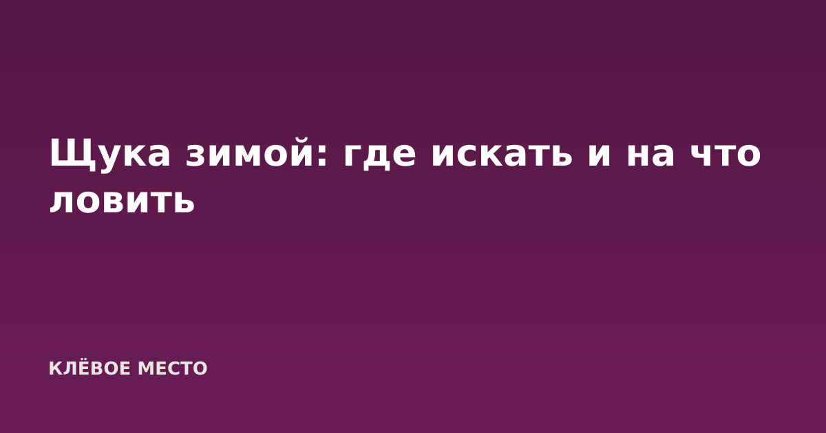 Щука зимой: где искать и на что ловить