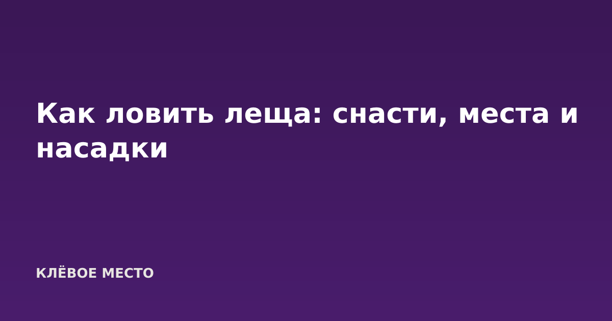 Как ловить леща: снасти, места и насадки