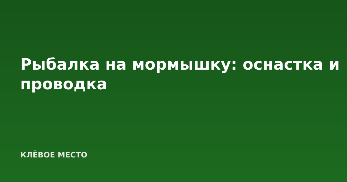 Рыбалка на мормышку: оснастка и проводка