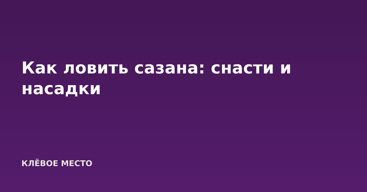 Как ловить сазана: снасти и насадки