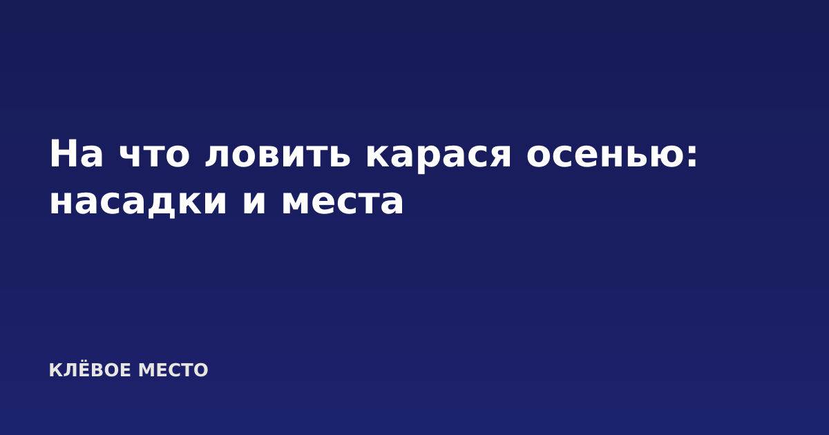 На что ловить карася осенью: насадки и места