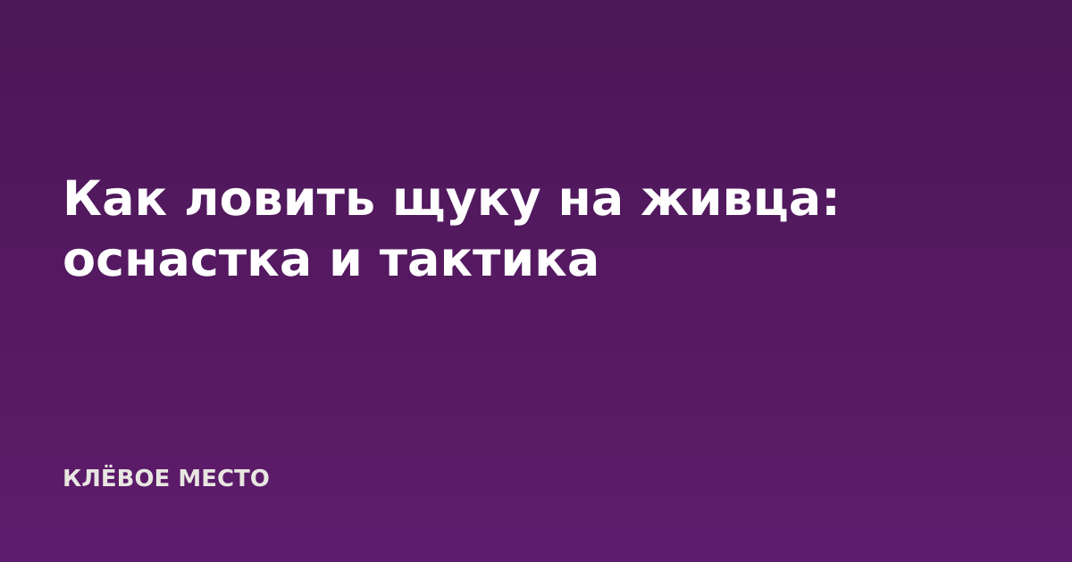 Как ловить щуку на живца: оснастка и тактика