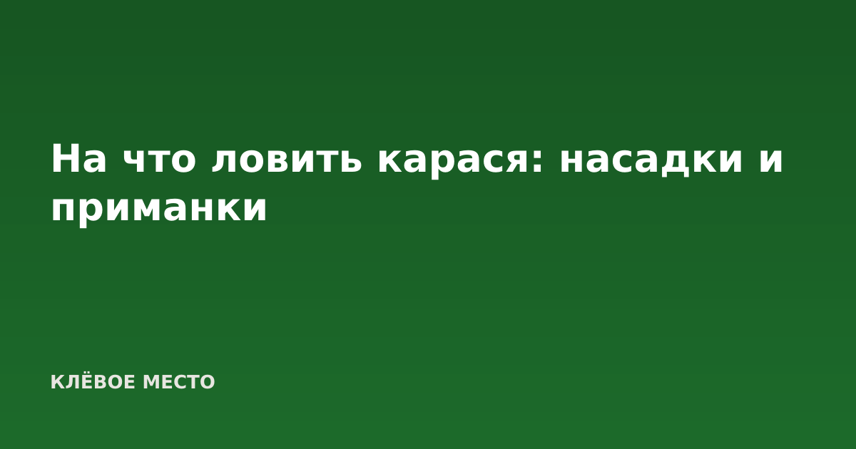 На что ловить карася: насадки и приманки