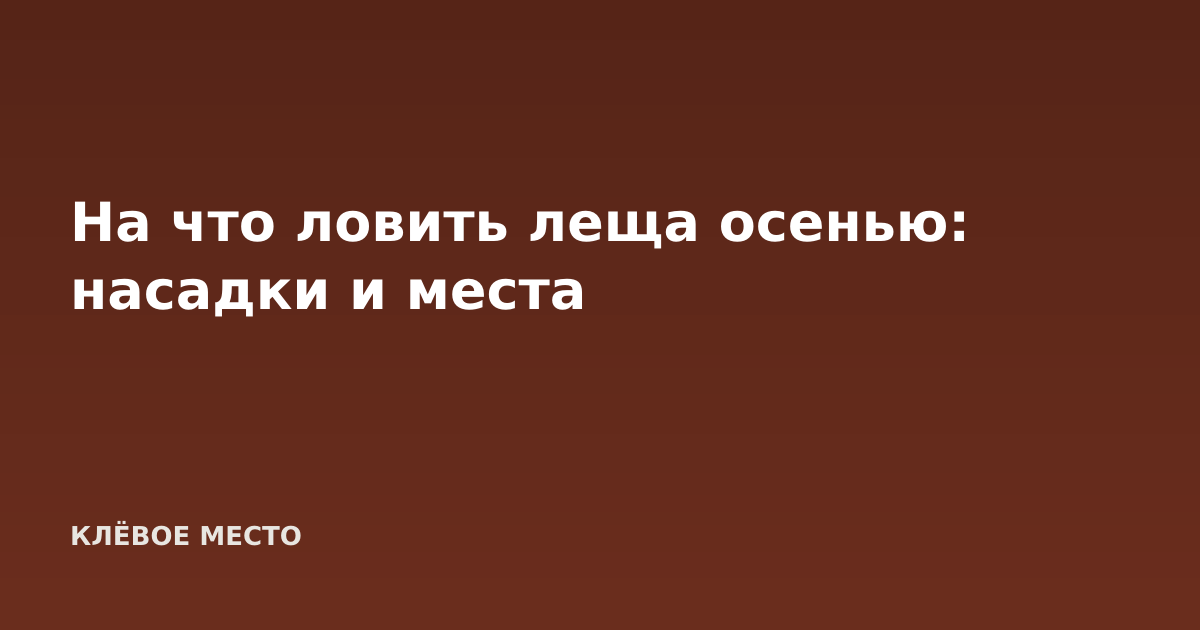 На что ловить леща осенью: насадки и места