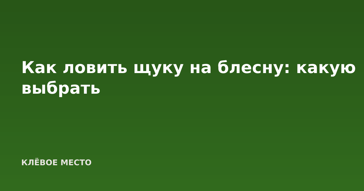 Как ловить щуку на блесну: какую выбрать
